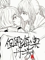 老狼信息网视频